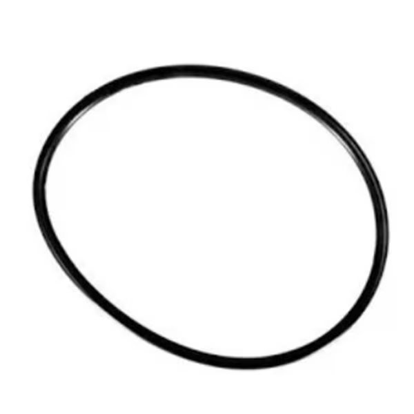 Gasket & O-Ring Kit 55 for CLX200 Chlorinator, Super Pro, Mfr#: GO-KIT55